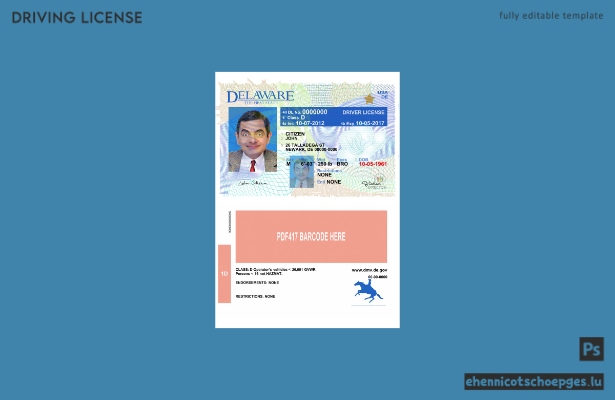 USA Delaware Führerschein Version 2 – Beispielvorschau